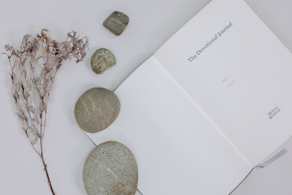 The Art of Mindfulness